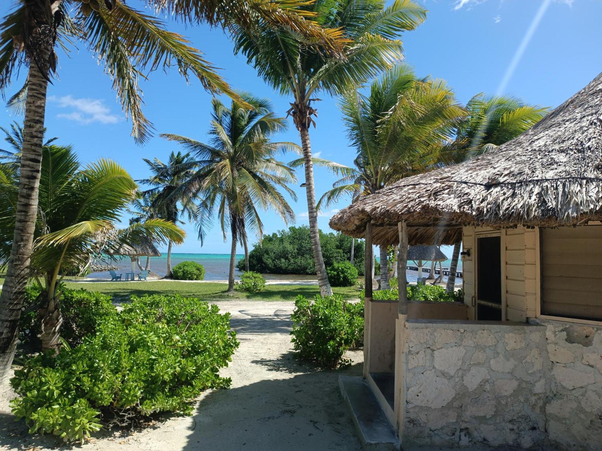Costa De Cocos 호텔 칼라크 외부 사진